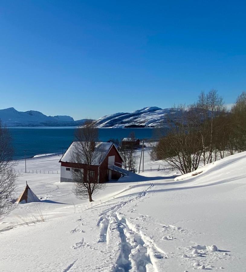 Unique And Charming With Fantastic Sea Views * Tromsø
