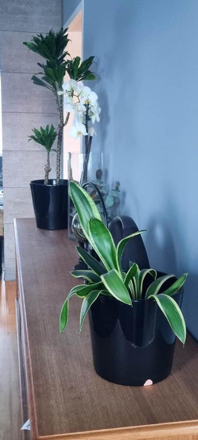Lund - Exellent Privat overnatting