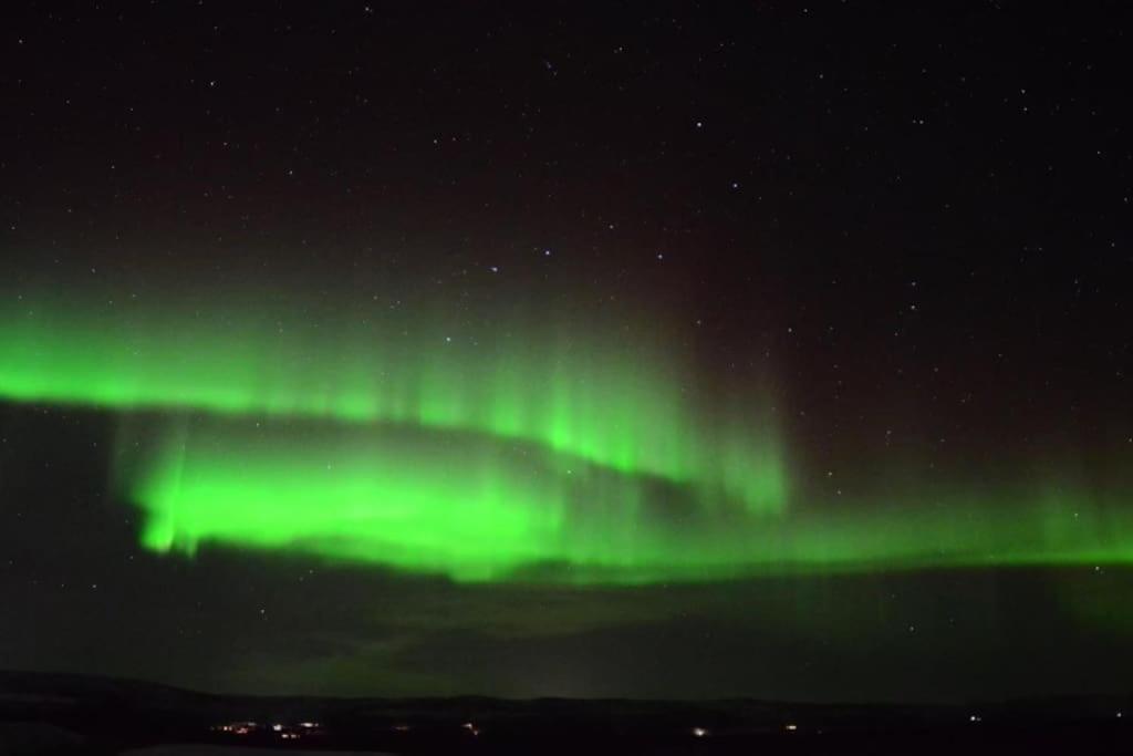 Arctica