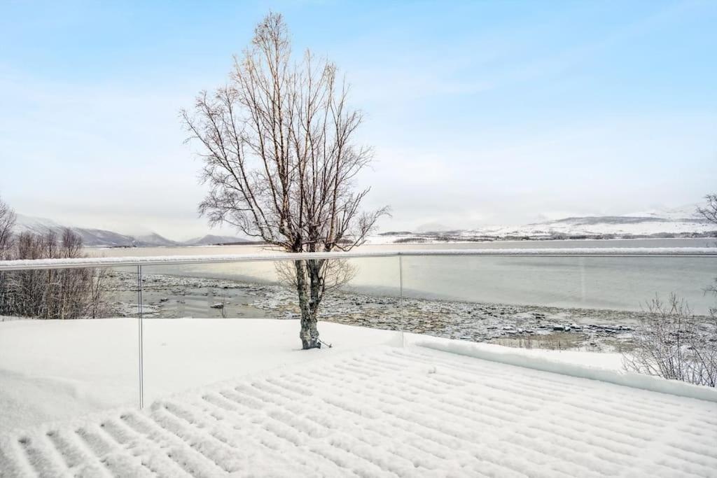 Hus Med Egen Strandlinje Appartement