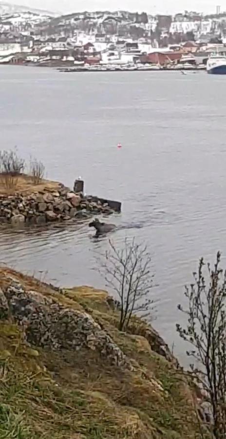Kaldfjord Sea House *