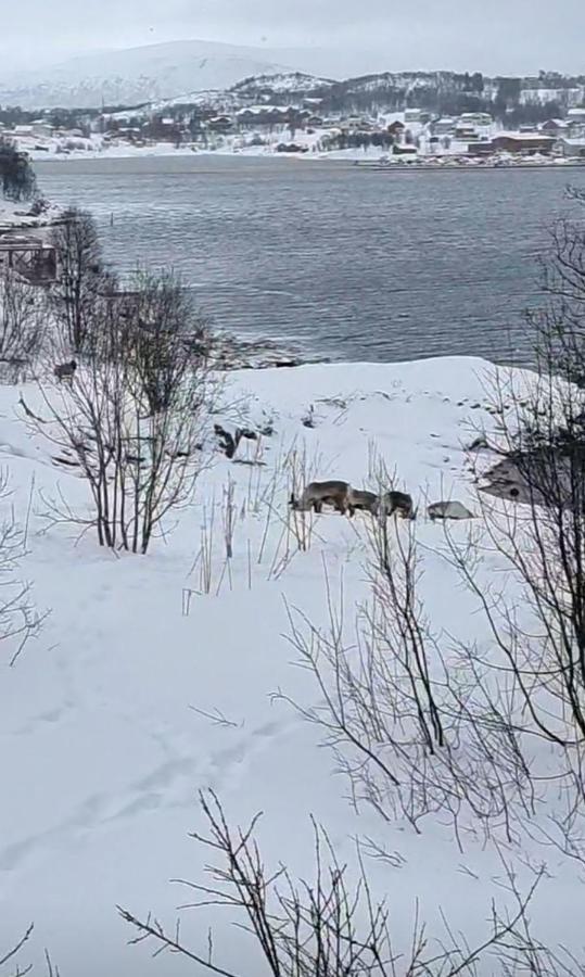 Kaldfjord Sea House Villa *