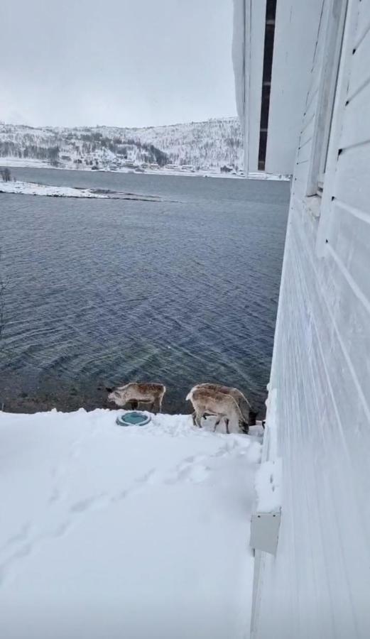 Kaldfjord Sea House Tromso