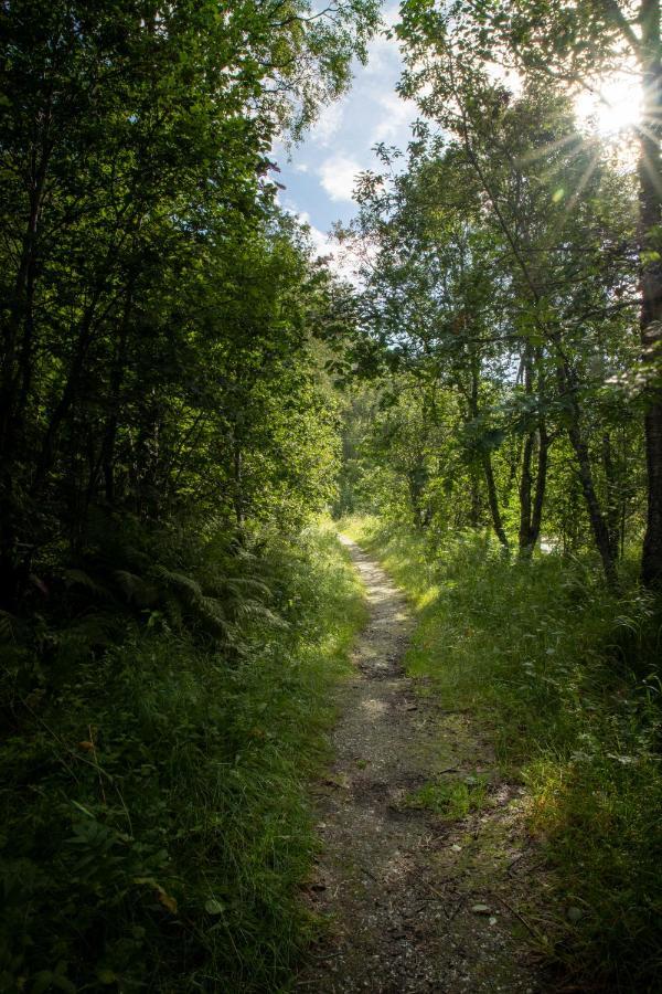 Campsite & Tromso