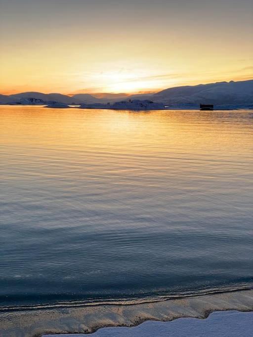 With Sauna In The Arctic Caribbean, *