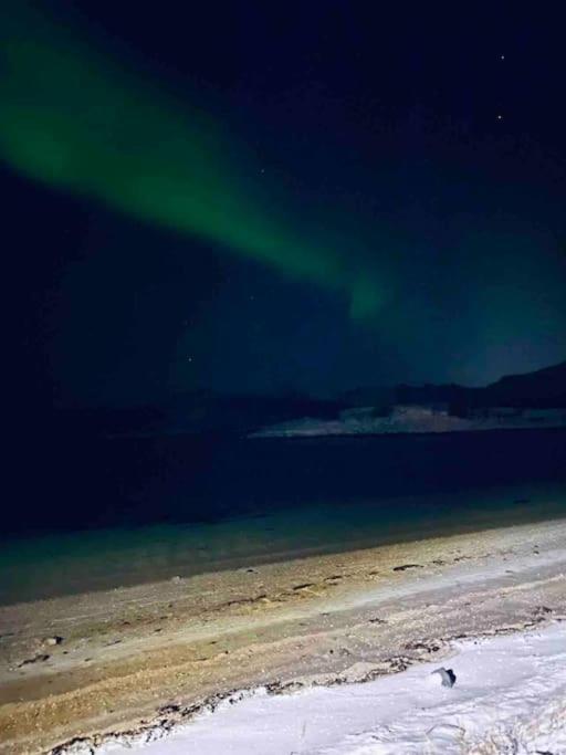 With Sauna In The Arctic Caribbean, Tromsø