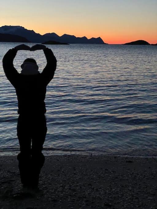 With Sauna In The Arctic Caribbean, * Tromsø