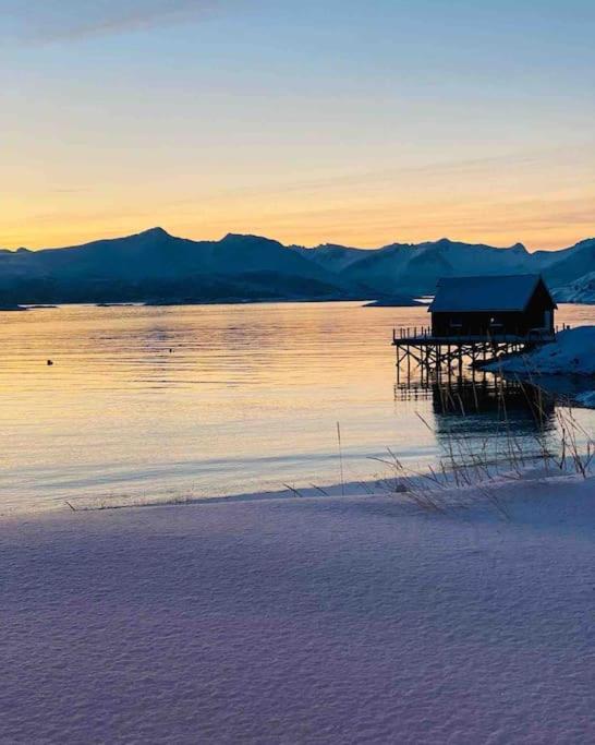 With Sauna In The Arctic Caribbean,