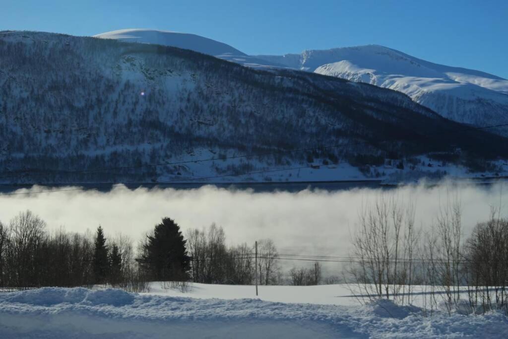 New Magnificent View Near The Centre Appartement *