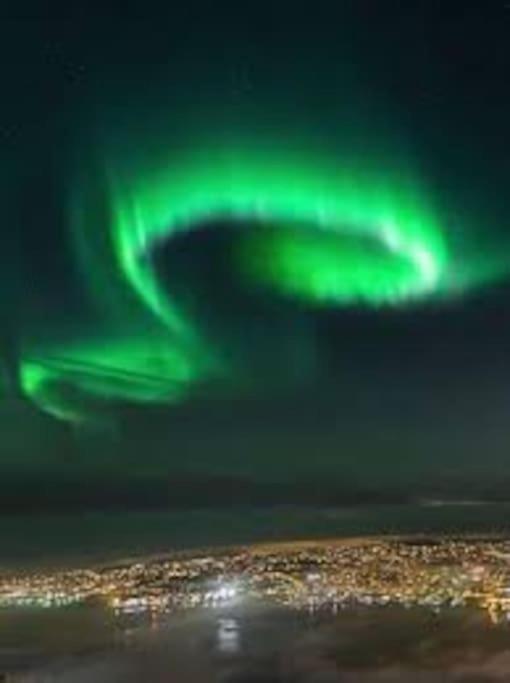 Vervet Apartment Tromsø