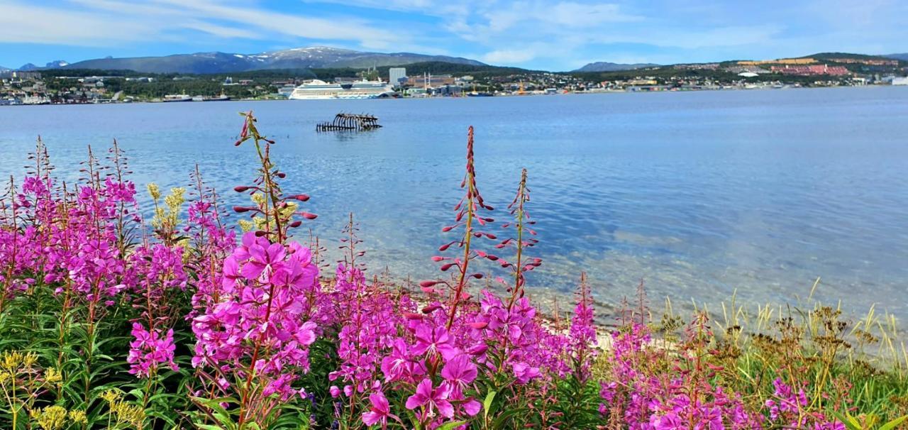 Northern Dreams With Free Parking Tromso