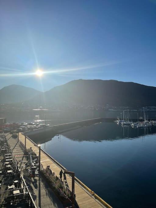Vervet * Tromso