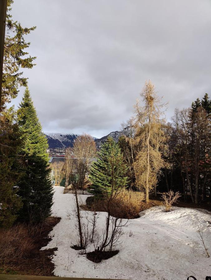 Homestay And Cozy Tromso