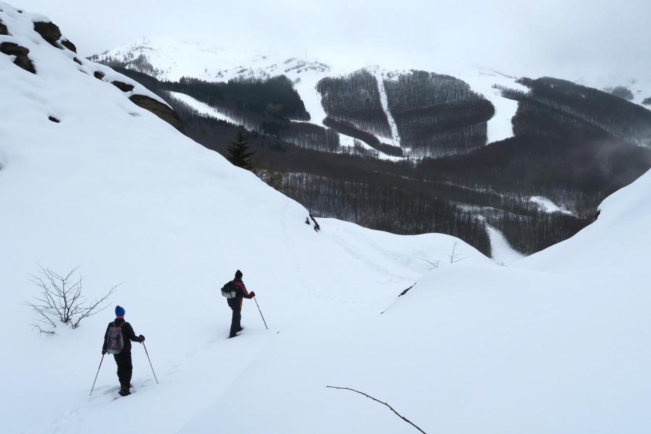 Aera - Glass 4* Tromso