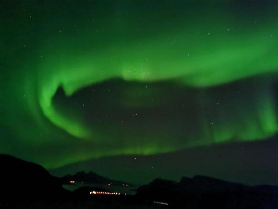 Arctic 1 Appartement *