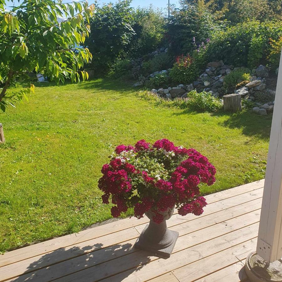Small And Cosy With Free Parking * Tromso