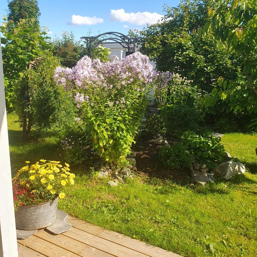 Small And Cosy With Free Parking Apartment Tromso
