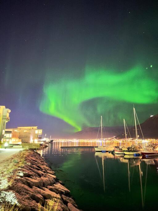 Lovely And Exclusive Northern Lights With Excellent View. Appartement