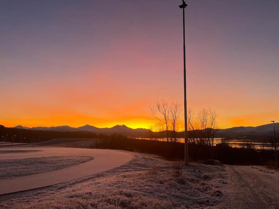 I Rolig Gate Med Utsikt Og Gratis Parkering