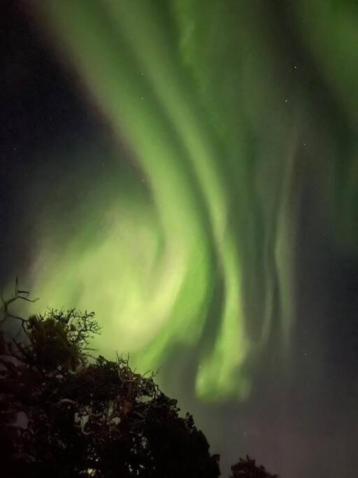 I Rolig Gate Med Utsikt Og Gratis Parkering * Tromsø