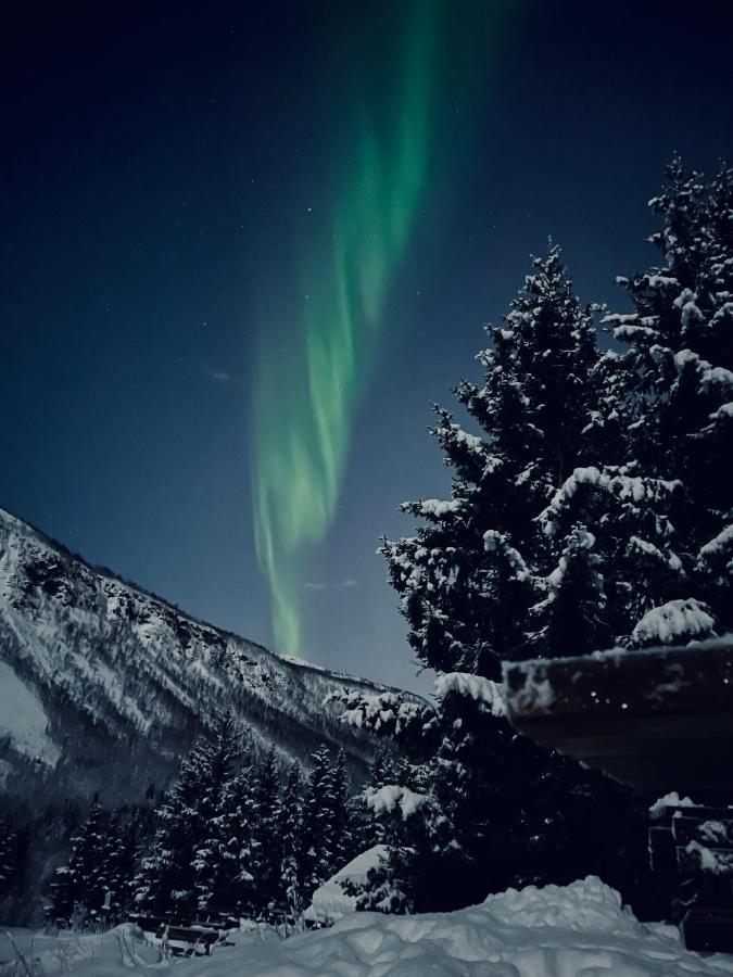 Close To The City, Ocean And Mountains -tromso Appartement *