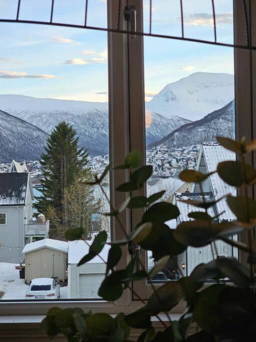 Apartment Amazing With Free Parking And Lovely Views! *