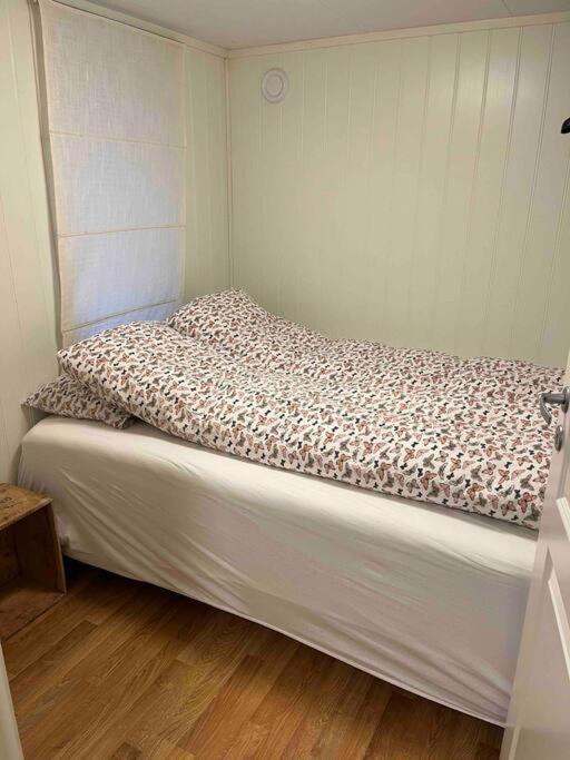 Apartment Gimle Casa *