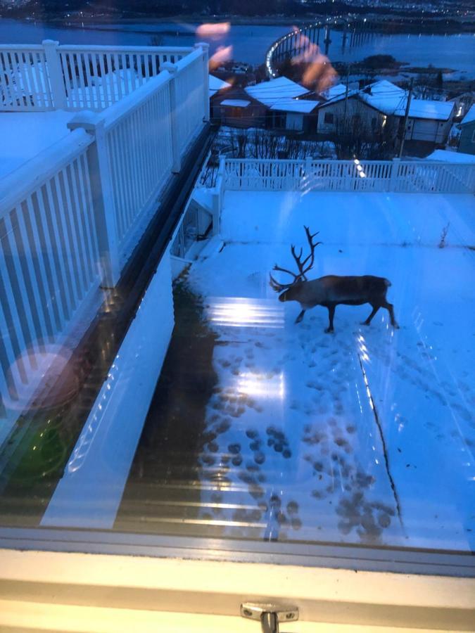 Appartement Moderne Og Trivelig Leilighet, Med Unik Utsikt *