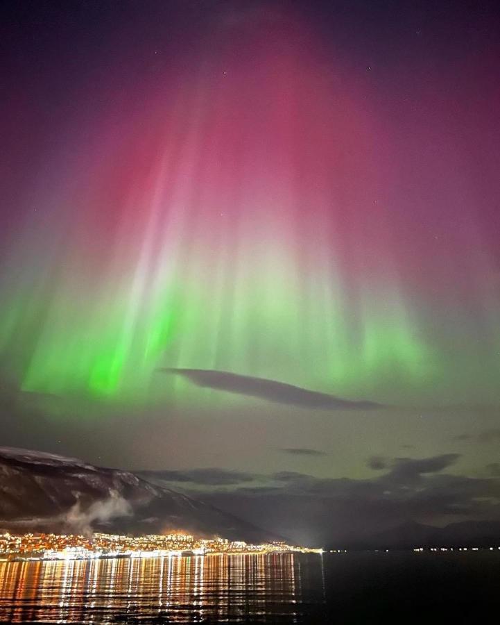 Rom Sentralt I Tromso * Tromso