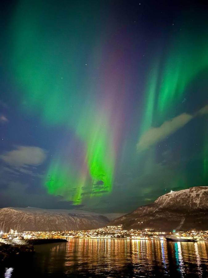 Ved Havet Med Utsikt Over Tromsoysundet. Apartment Tromso