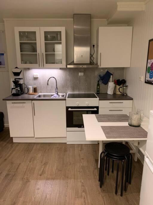 Gimle Cozy Apartment
