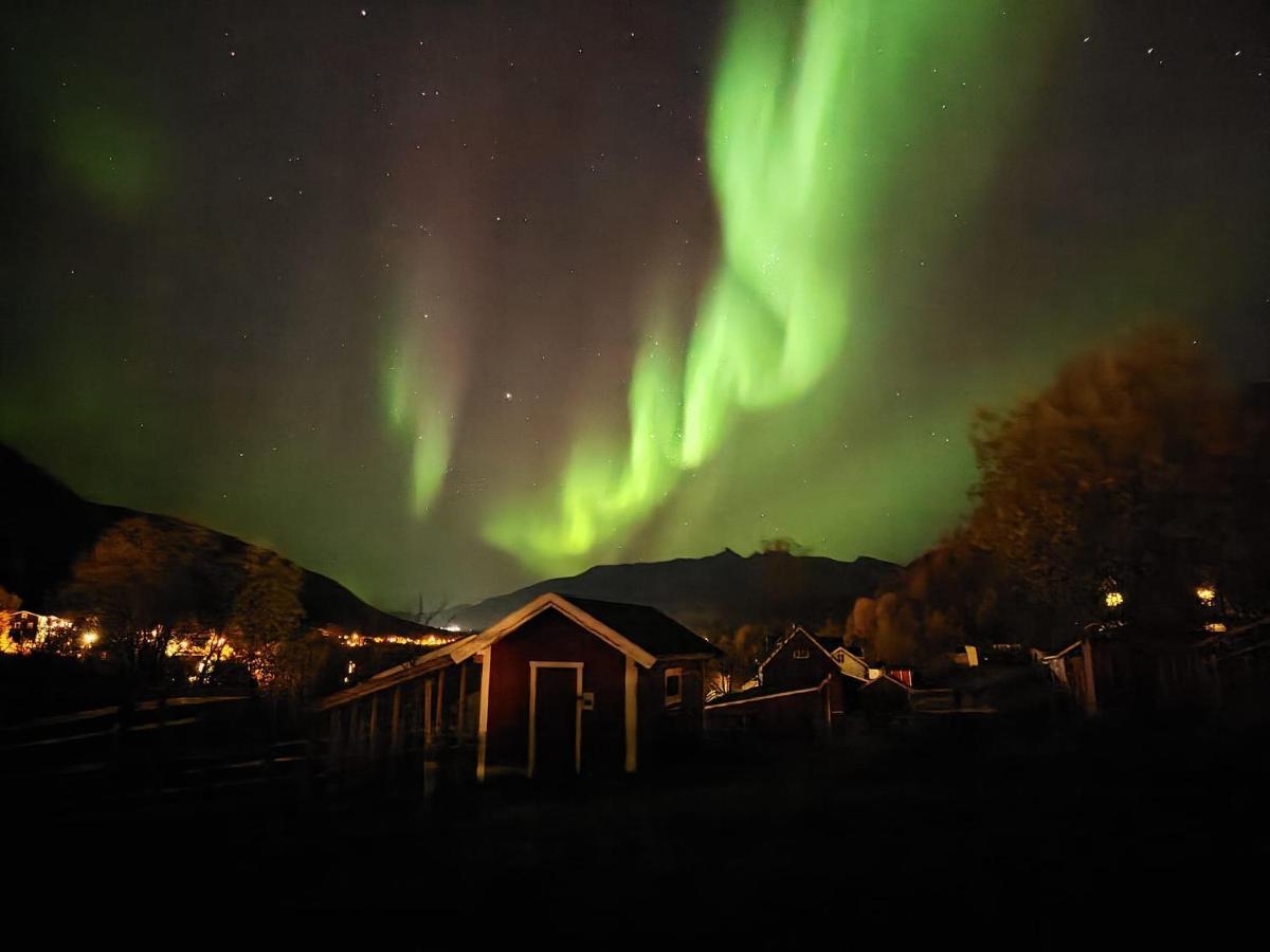 Campsite Koselig Dyregard I *