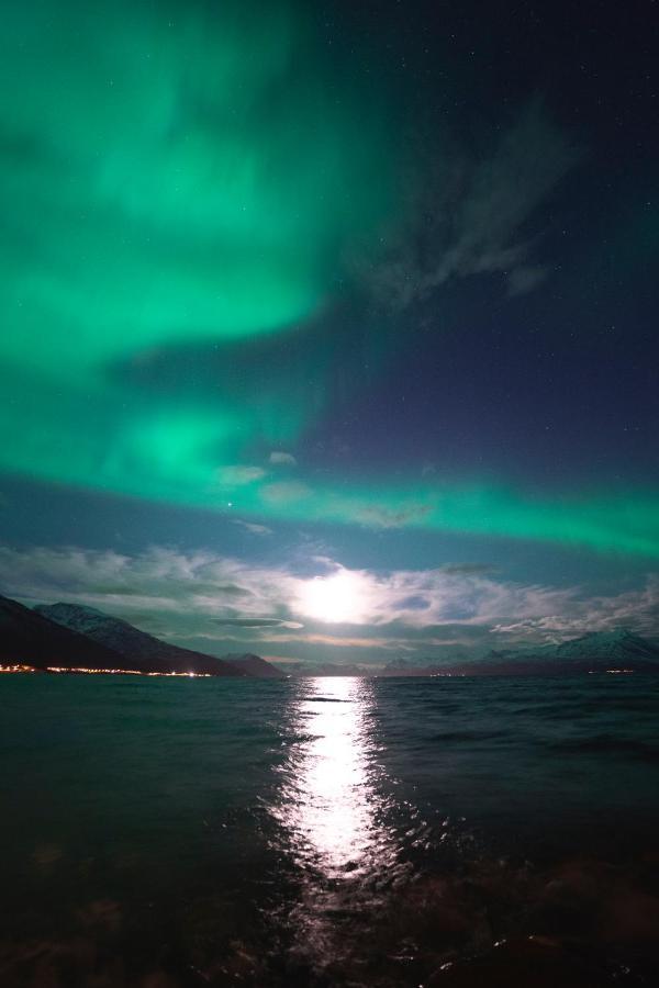 Aurora View