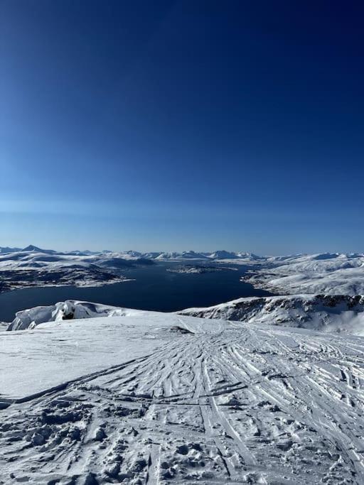 Koselig Leilighet Med Utsikt * Tromso