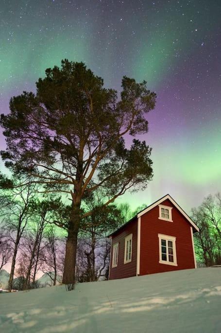 Close To Center Apartment Tromso
