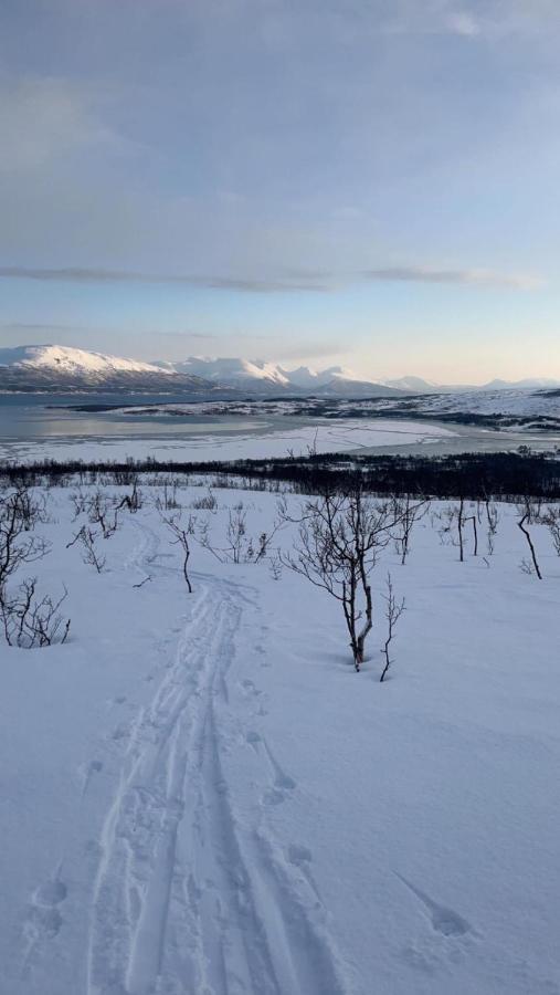 A Modern In Nature's Embrace * Tromsø