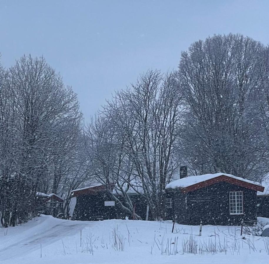 Smasletta Lodge, Kvaloya Holiday home