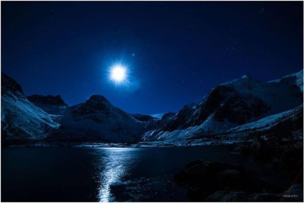 In The Heart Of The Aurora Borealis - * Tromso