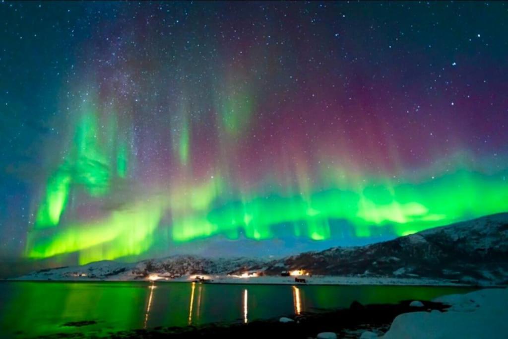 Apartment In The Heart Of The Aurora Borealis - *