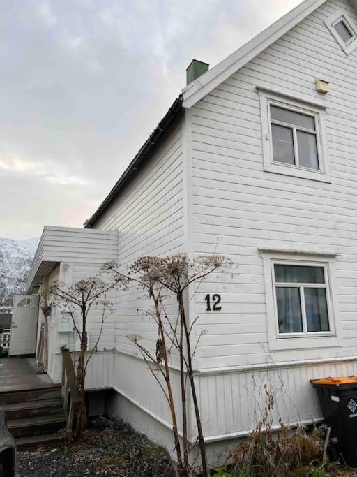 In The Heart Of The Aurora Borealis - Apartment Tromso
