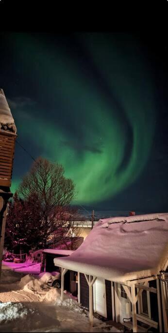 In The Heart Of The Aurora Borealis - Tromsø