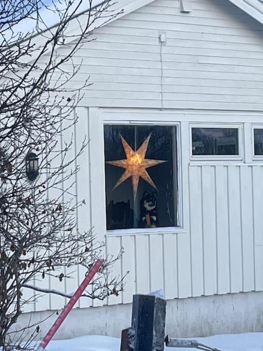 Ivar And Sofies House Tromso