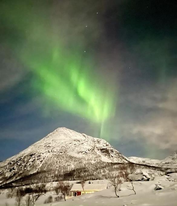 Fjord Bliss - Free Parking Holiday home *