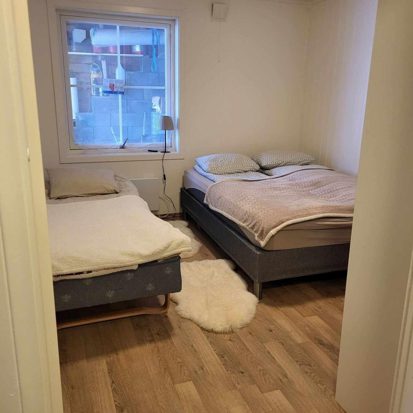 Nydelig Med Naerhet Til Og Nordlys Tromso