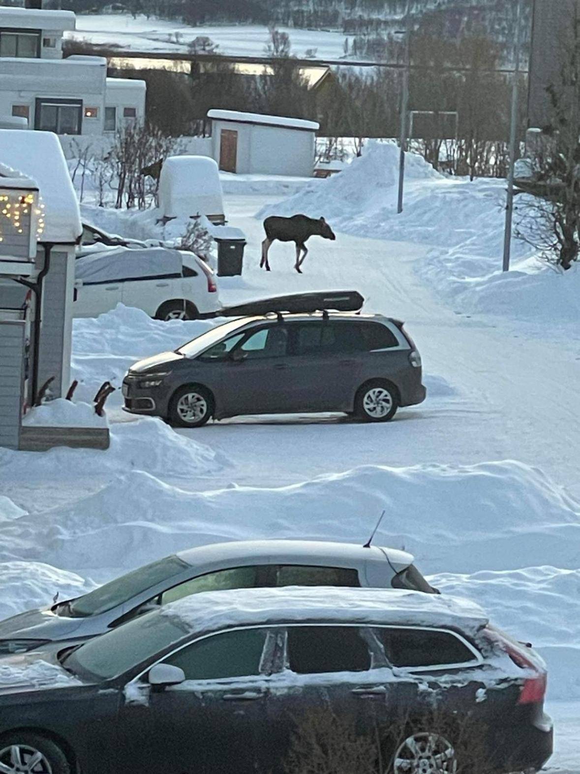 Studioleilighet * Tromso
