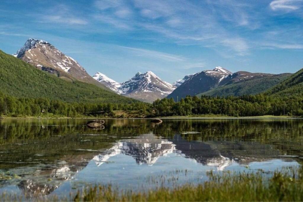 Sjarmerende Og Koselig Hytte Med Badstue * Tromso