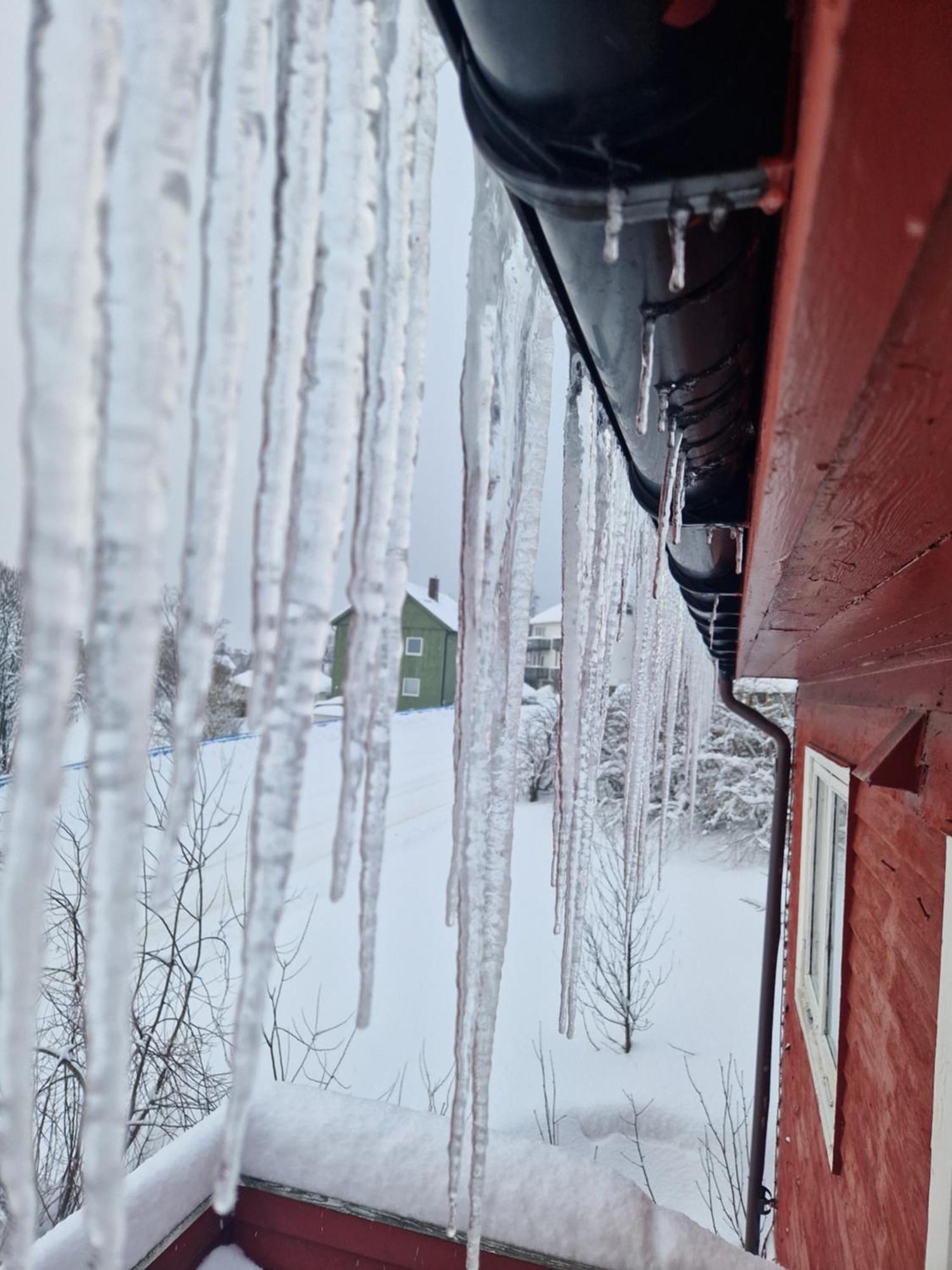 Apartment Semi-detached House Downtown Tromso