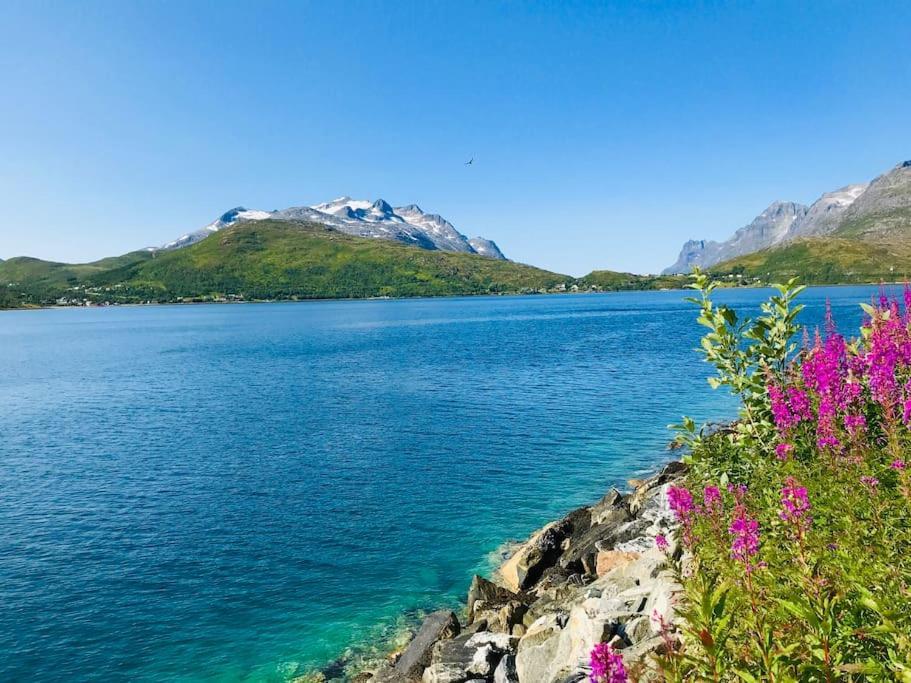 Homestay Kvaloya Arctic Retreat - In Beautiful Kvaloya, *
