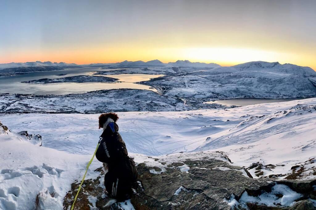 Kvaloya Arctic Retreat - In Beautiful Kvaloya, Homestay