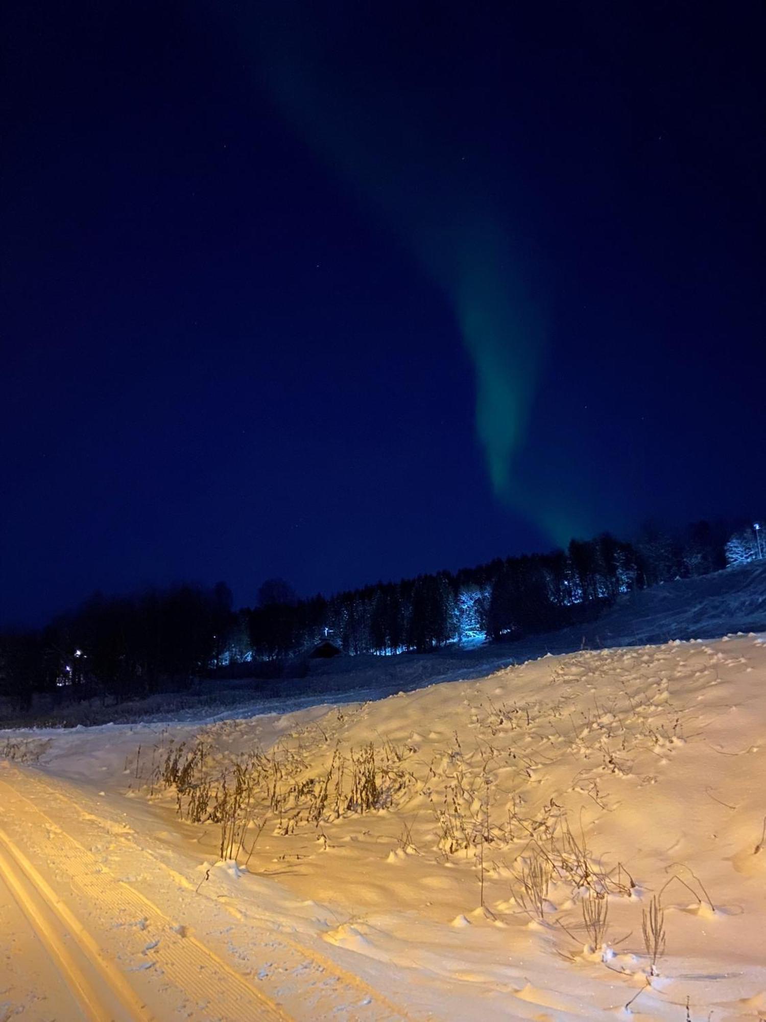 Appartement Arctic Quiet